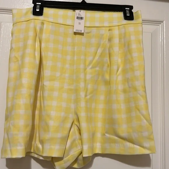NWT Anthropologie Hutch Pleated Gingham Shorts - Picture 3 of 13